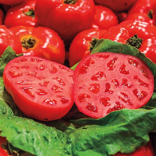 Ruby Monster Hybrid Tomato  Seed