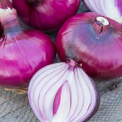Red Zeppelin Onion  Seed