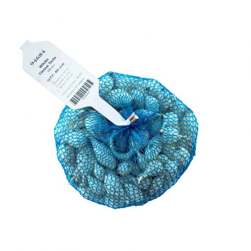 White Onion  Seed - Image 2