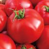 Tasty Beef Hybrid Tomato  Seed