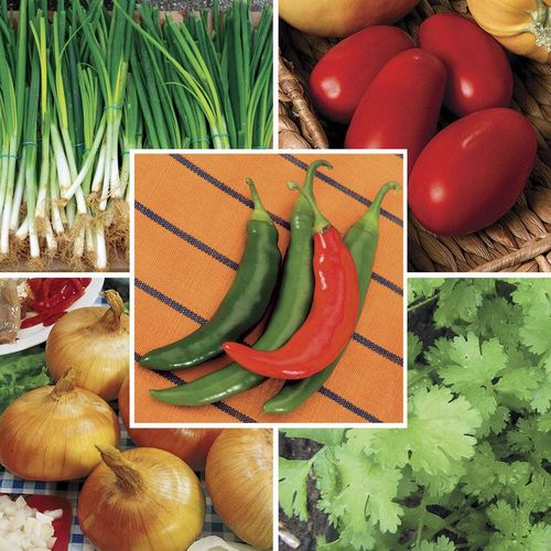 Park Seed Salsa Vegetable Seed Collection